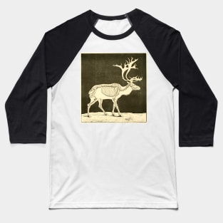 Reindeer Skeleton Vintage Illustration Baseball T-Shirt